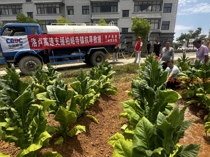 QQ截图20240629113228.png