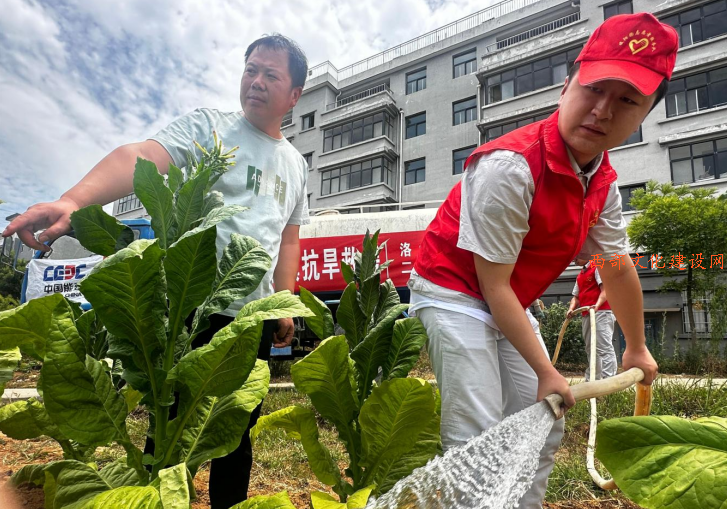 QQ截图20240629113251.png