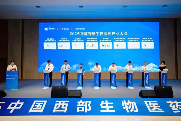 1749550616755423.png 图片7.png