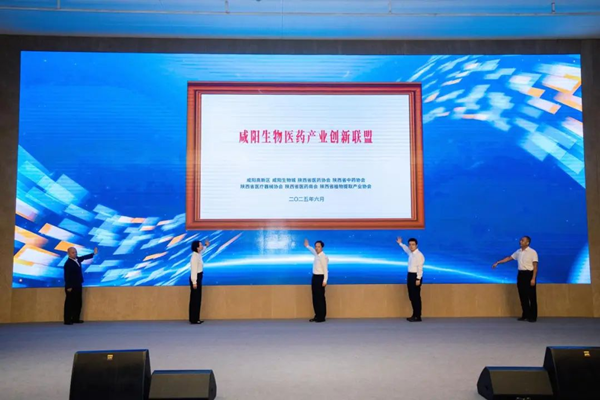 1749550634603480.png 图片8.png